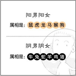 看八字免费算命